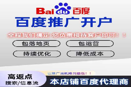 SEO与SEM优化案例：打造行业领先品牌